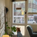 만수탕 | [연제구 신상 카페] 무토 🐕