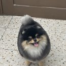 인천미용상사 이미지