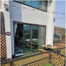 보람애견 이미지