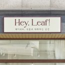 헤이리프 이미지