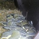 청풍호수펜션 이미지