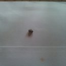 독천한국의원 이미지