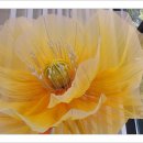 주막보리밥 이미지