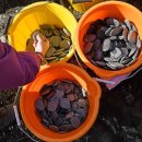 Recover Fit 이미지