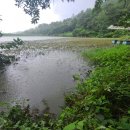 갈전소류지 이미지