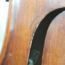 콘트라베이스 이미지