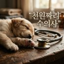 천고을1농장 | 천원짜리 수의사 동물농장 화제 이유와 분당 병원 감동 실화 정보