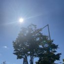 솔밭보양탕 | 20년 10월 일상