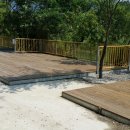 솔밭체육공원 오토캠핑장 이미지