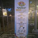 [2026 제주삼다콘서트] 삼다공원｜타로체험부터 폴킴 라이브에 심쿵한 관람 후기