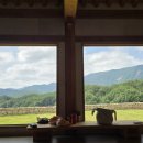 소나모나 이미지