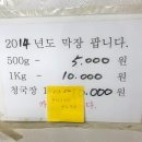 보영탕 이미지