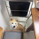 우석대박집