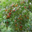 연정황토펜션 이미지