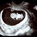 베스트미의원 이미지