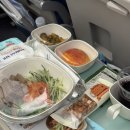 다잇슈 | Ep. 2 이스탄불공항에서 카이세리 공항 자가환승 성공 후기