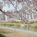 전주콩나물 국밥 앞 이미지