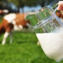 모텔 하늘궁 이미지