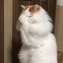 [1] 다시쓰는 일상기록