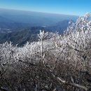 덕유산글램핑 이미지
