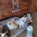 독탑라운지 이미지