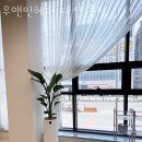 우앤민헤어 네이버블로그