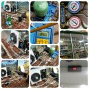 로얄주유소 이미지