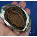 주식회사 미전