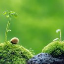 다가온 다가온 이미지