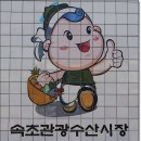 속초관광수산시장(구 속초중앙전통시장) 이미지