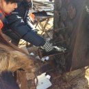 축제펜션 이미지