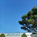 녹색의향기성남점 | 2025년 12월 1일 경기미 품평회 참석 후기, 향기부터 식감까지 쌀의 모든 것을 평가하다