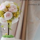 루체 어린이집 이미지