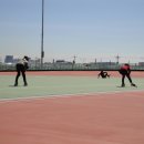 포항인라인롤러경기장 이미지