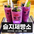 파오디 | 부안카페 슬지제빵소 : 오디봉봉과 여러 가지 빵 방문 후기