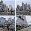 갈뫼초등학교 | 의왕시(포일동, 내손동, 오전동) 임장후기