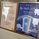 별빛백도 | 부산 서면 신상카페 차백도 방문 후기 (+ 웨이팅 없는 시간)