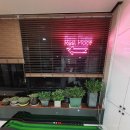 SG소사스크린골프 이미지