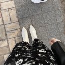 토치미 | 2023-03월의 기록