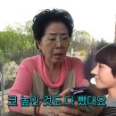 선우용여 카카오 검색결과