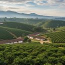 프리미엄농장 이미지