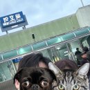 SKY(스카이) | 묵호 | 도째비골 스카이밸리 후기 사진은 최고, 갈지 말지 딱 정해줌