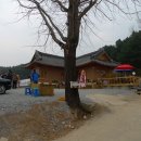대성 행정사 Daum카페