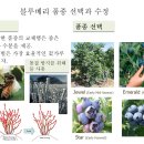 경남농업기술원에 블루베리 교육 다녀왔습니다. 이미지