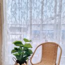 SM펫살롱 이미지