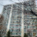 노원로(동측) 이미지