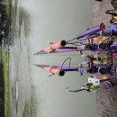 샘골 낚시터 이미지