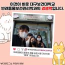 뷰티 앤 도그쇼 이미지