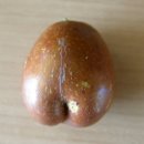 궁댕이