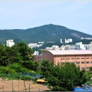 삼어